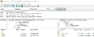 Screenshot of FileZilla