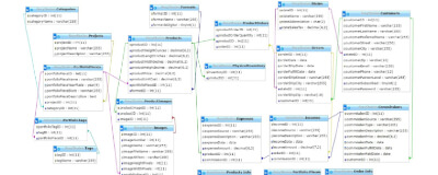 Entity relationship diagram (ERD) generated from the finished database, showing various customer, product, and business tables and views.