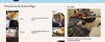 Website showing various kitten pictures and text displayed using PHP and with a random kitten shown on the side.