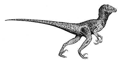 Deinonychus (terrible claw)