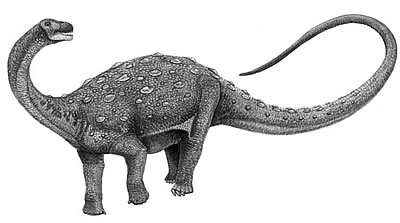 Neuquenosaurus