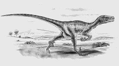 Utahraptor