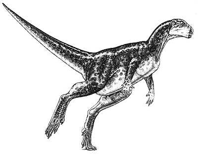 Zephyrosaurus (wind lizard)